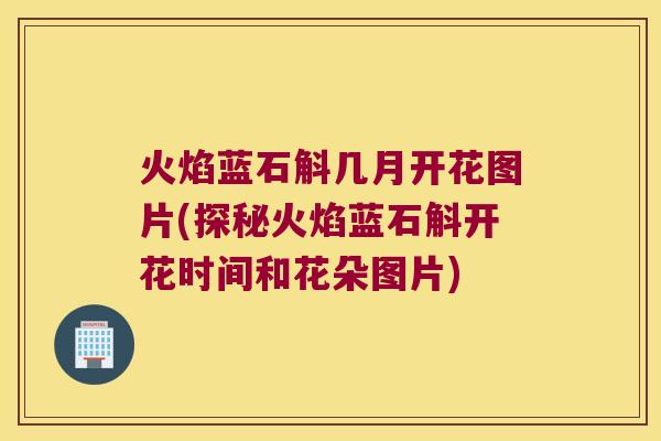 火焰蓝石斛几月开花图片(探秘火焰蓝石斛开花时间和花朵图片)