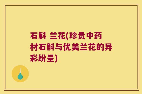 石斛 兰花(珍贵中药材石斛与优美兰花的异彩纷呈)