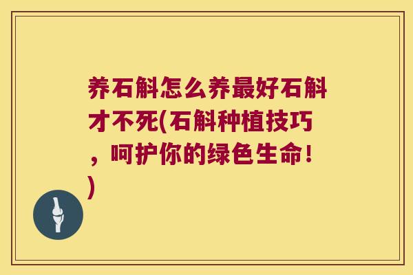 养石斛怎么养最好石斛才不死(石斛种植技巧，呵护你的绿色生命！)