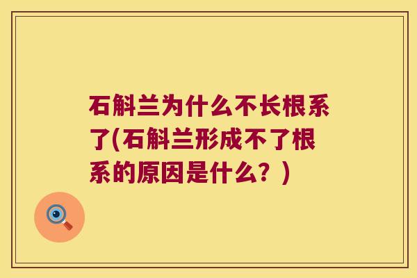 石斛兰为什么不长根系了(石斛兰形成不了根系的原因是什么？)
