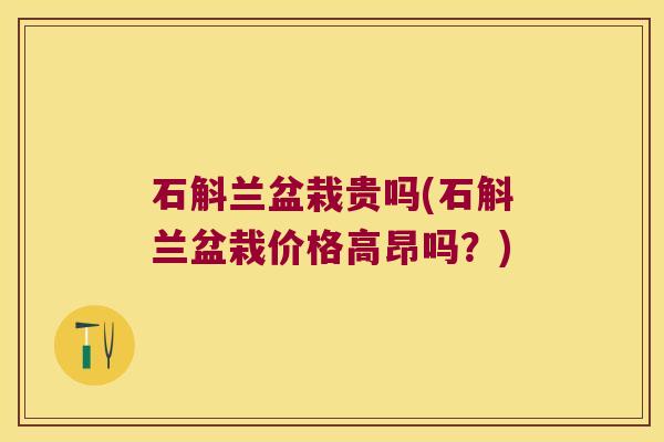 石斛兰盆栽贵吗(石斛兰盆栽价格高昂吗?) 石斛兰盆栽贵吗(石斛兰盆栽价格高昂吗?)