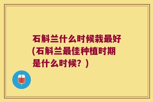 石斛兰什么时候栽最好(石斛兰最佳种植时期是什么时候？)