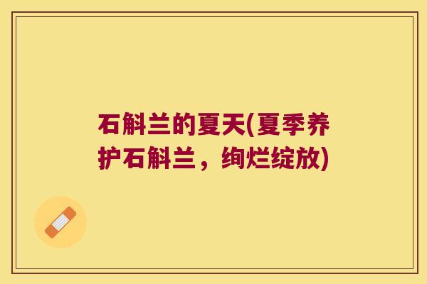 石斛兰的夏天(夏季养护石斛兰，绚烂绽放)