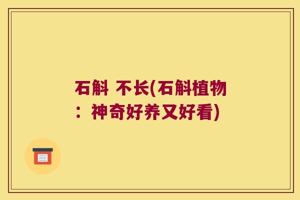 石斛 不长(石斛植物：神奇好养又好看)