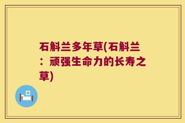 石斛兰多年草(石斛兰：顽强生命力的长寿之草)