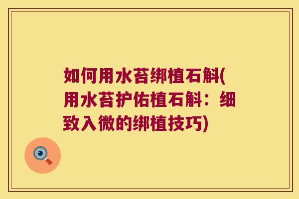 如何用水苔绑植石斛(用水苔护佑植石斛：细致入微的绑植技巧)