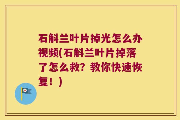 石斛兰叶片掉光怎么办视频(石斛兰叶片掉落了怎么救？教你快速恢复！)