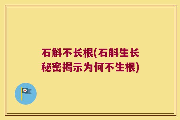 石斛不长根(石斛生长秘密揭示为何不生根)