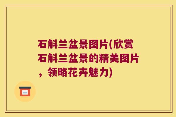 石斛兰盆景图片(欣赏石斛兰盆景的精美图片，领略花卉魅力)