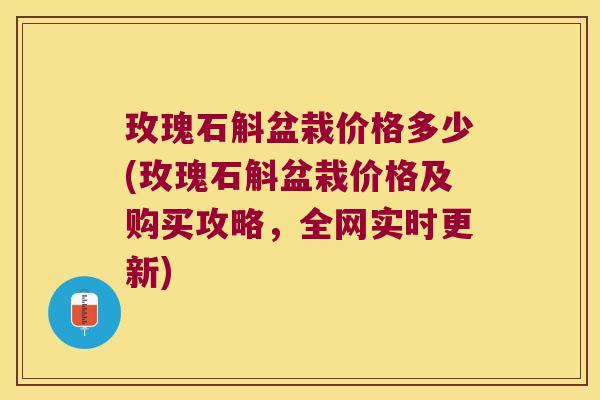 玫瑰石斛盆栽价格多少(玫瑰石斛盆栽价格及购买攻略，全网实时更新)