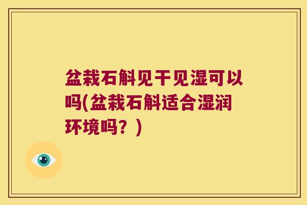 盆栽石斛见干见湿可以吗(盆栽石斛适合湿润环境吗？)