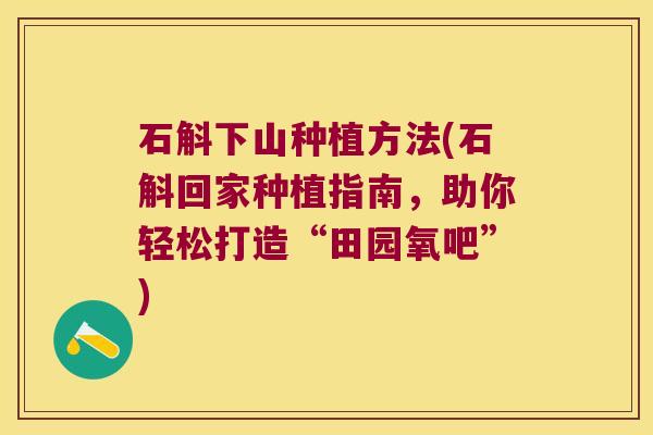 石斛下山种植方法(石斛回家种植指南，助你轻松打造“田园氧吧”)