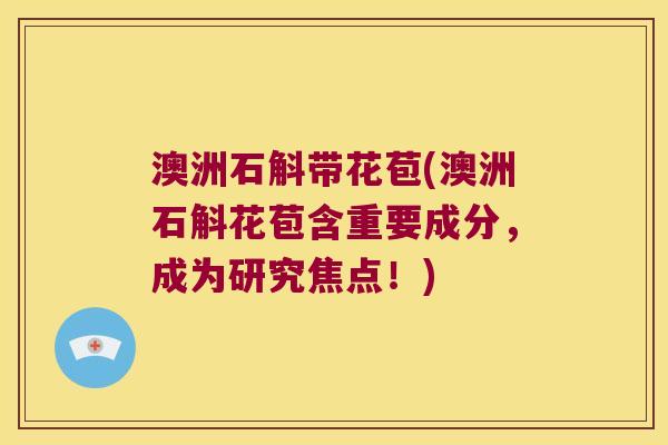 澳洲石斛带花苞(澳洲石斛花苞含重要成分，成为研究焦点！)