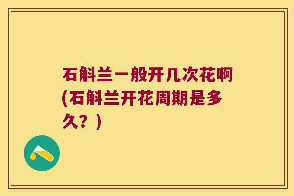 石斛兰一般开几次花啊(石斛兰开花周期是多久？)