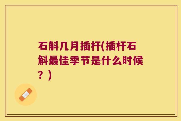 石斛几月插杆(插杆石斛最佳季节是什么时候？)