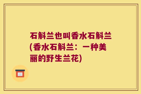 石斛兰也叫香水石斛兰(香水石斛兰：一种美丽的野生兰花)