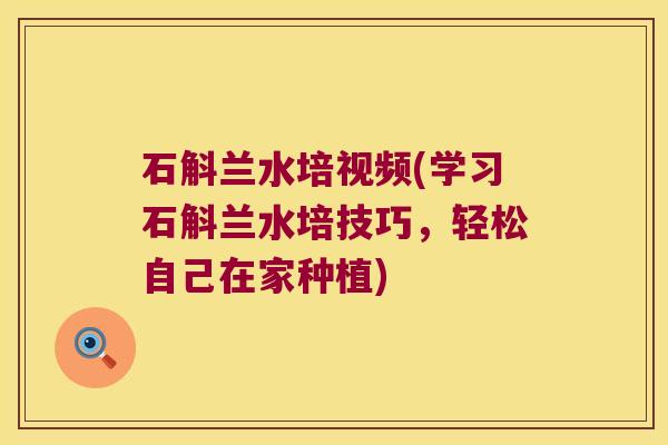 石斛兰水培视频(学习石斛兰水培技巧，轻松自己在家种植)