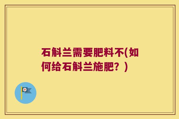 石斛兰需要肥料不(如何给石斛兰施肥？)