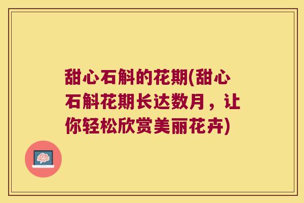 甜心石斛的花期(甜心石斛花期长达数月,让你轻松欣赏美丽花卉) 甜心石斛的花期(甜心石斛花期长达数月,让你轻松欣赏美丽花卉)