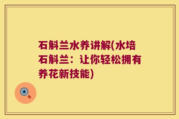 石斛兰水养讲解(水培石斛兰：让你轻松拥有养花新技能)