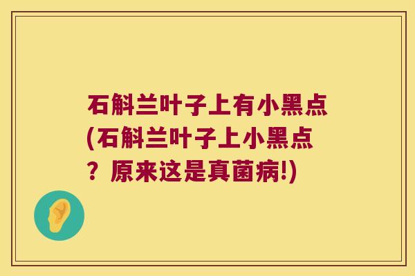 石斛兰叶子上有小黑点(石斛兰叶子上小黑点？原来这是真菌病!)