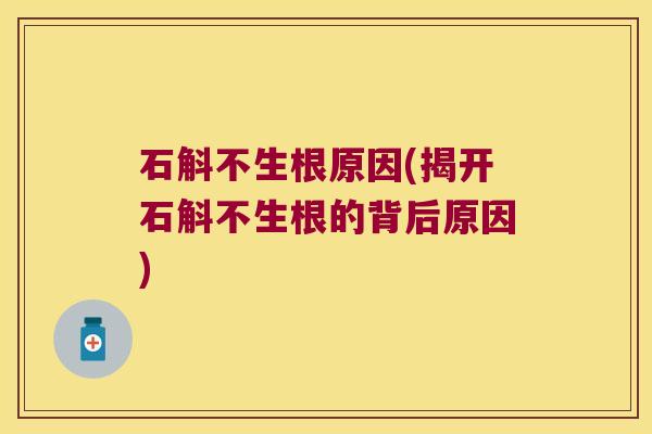 石斛不生根原因(揭开石斛不生根的背后原因)