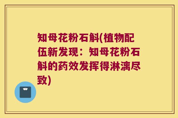 知母花粉石斛(植物配伍新发现:知母花粉石斛的发挥得淋漓尽致) 知母花粉石斛(植物配伍新发现:知母花粉石斛的发挥得淋漓尽致)