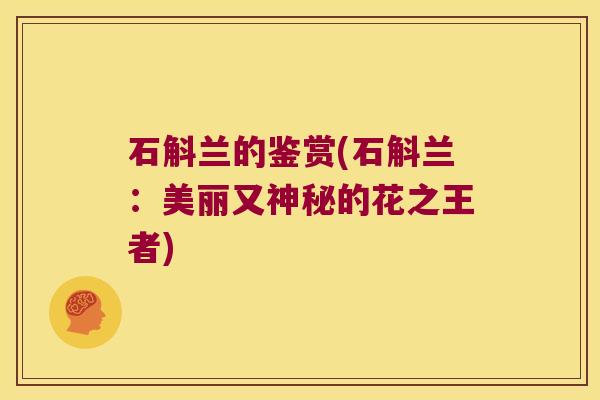 石斛兰的鉴赏(石斛兰：美丽又神秘的花之王者)