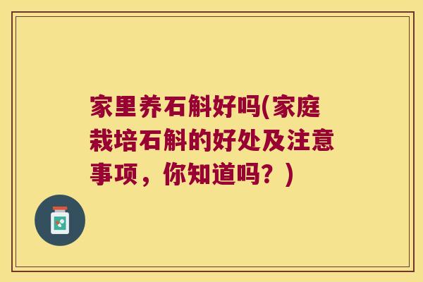 家里养石斛好吗(家庭栽培石斛的好处及注意事项，你知道吗？)