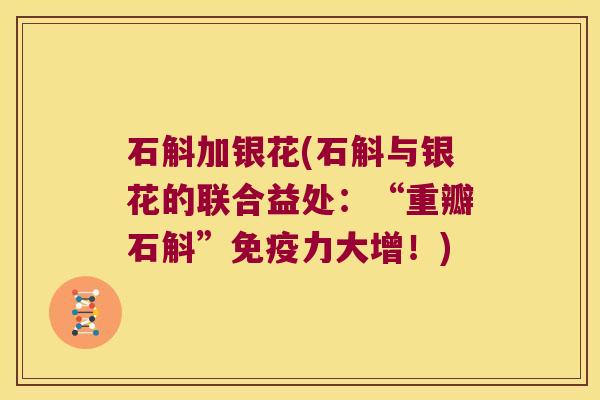 石斛加银花(石斛与银花的联合益处：“重瓣石斛”免疫力大增！)