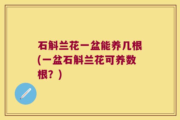 石斛兰花一盆能养几根(一盆石斛兰花可养数根？)