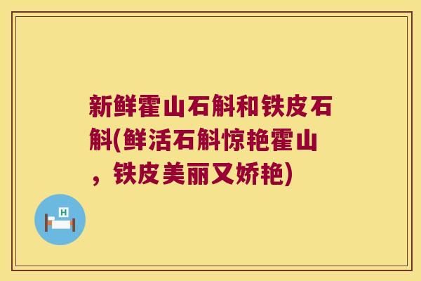 新鲜霍山石斛和铁皮石斛(鲜活石斛惊艳霍山，铁皮美丽又娇艳)