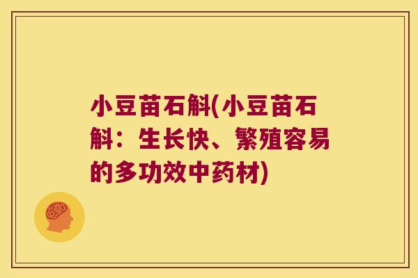 小豆苗石斛(小豆苗石斛：生长快、繁殖容易的多功效材)