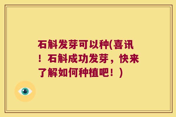 石斛发芽可以种(喜讯！石斛成功发芽，快来了解如何种植吧！)