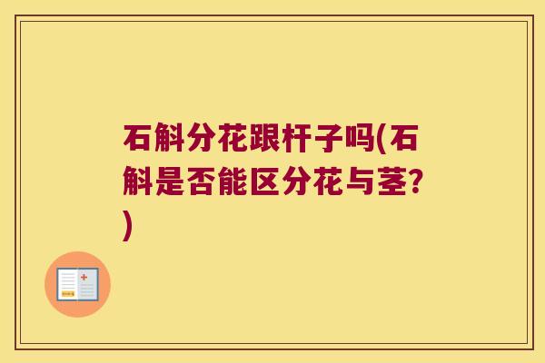 石斛分花跟杆子吗(石斛是否能区分花与茎？)