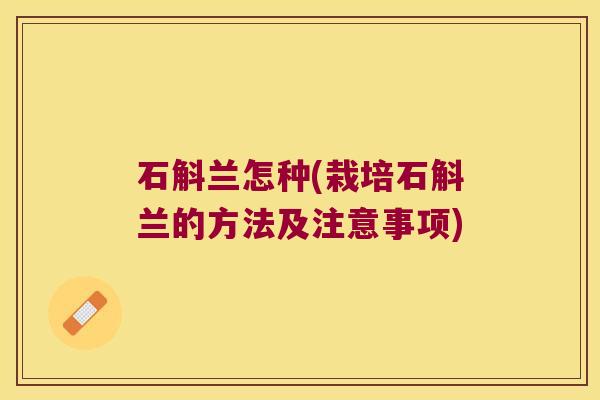 石斛兰怎种(栽培石斛兰的方法及注意事项)