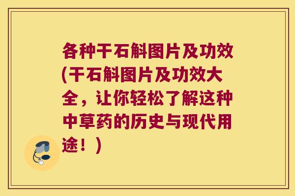 各种干石斛图片及功效(干石斛图片及功效大全，让你轻松了解这种中草药的历史与现代用途！)
