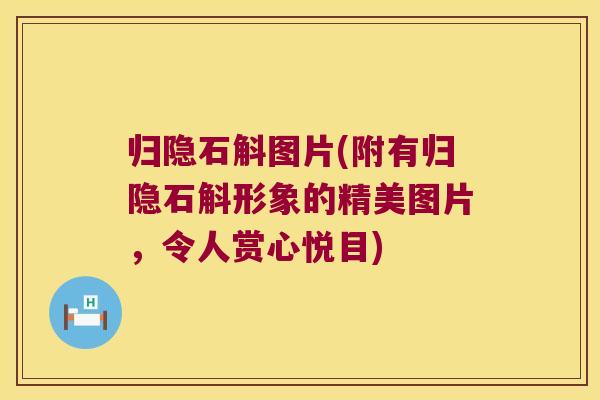归隐石斛图片(附有归隐石斛形象的精美图片，令人赏心悦目)