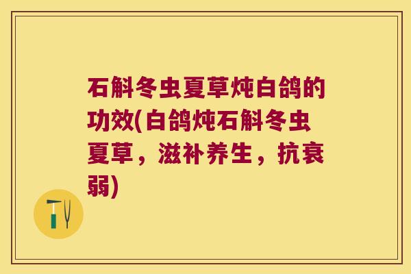 石斛冬虫夏草炖白鸽的功效(白鸽炖石斛冬虫夏草，滋补养生，抗衰弱)