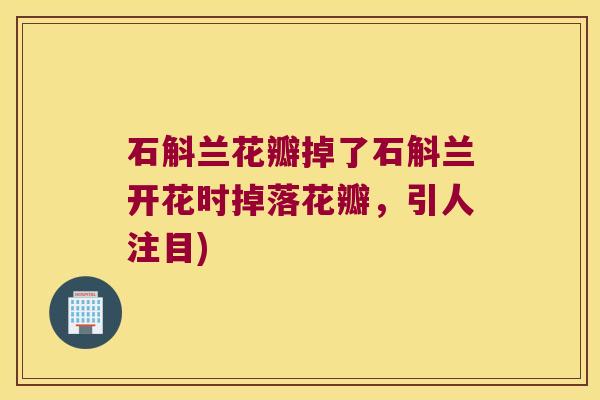 石斛兰花瓣掉了石斛兰开花时掉落花瓣，引人注目)
