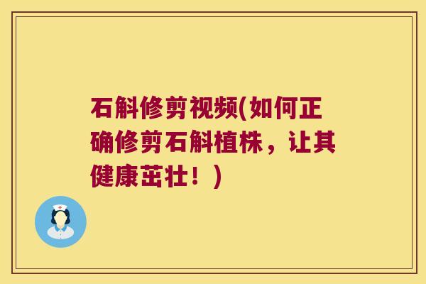 石斛修剪视频(如何正确修剪石斛植株，让其健康茁壮！)