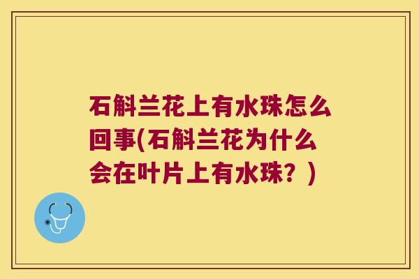 石斛兰花上有水珠怎么回事(石斛兰花为什么会在叶片上有水珠？)