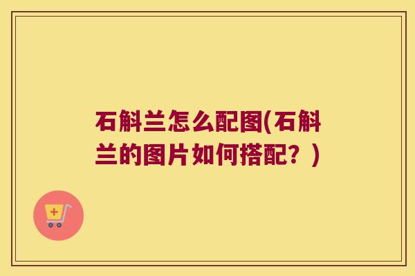 石斛兰怎么配图(石斛兰的图片如何搭配?) 石斛兰怎么配图(石斛兰的图片如何搭配?)