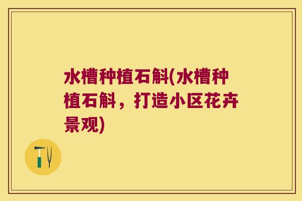 水槽种植石斛(水槽种植石斛,打造小区花卉景观) 水槽种植石斛(水槽种植石斛,打造小区花卉景观)