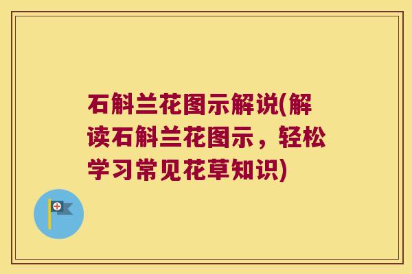 石斛兰花图示解说(解读石斛兰花图示，轻松学习常见花草知识)