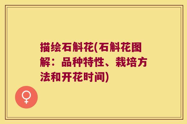 描绘石斛花(石斛花图解：品种特性、栽培方法和开花时间)