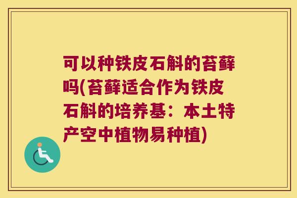 可以种铁皮石斛的苔藓吗(苔藓适合作为铁皮石斛的培养基：本土特产空中植物易种植)