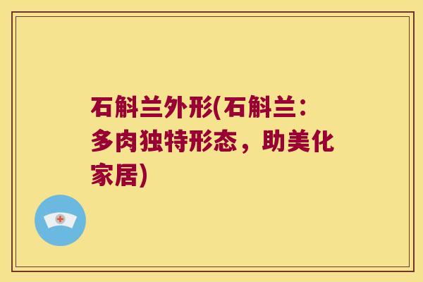 石斛兰外形(石斛兰:多肉独特形态,助美化家居) 石斛兰外形(石斛兰:多肉独特形态,助美化家居)