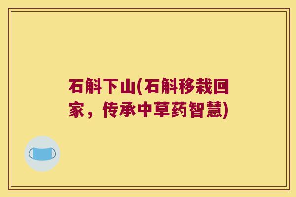 石斛下山(石斛移栽回家，传承中草药智慧)