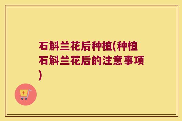 石斛兰花后种植(种植石斛兰花后的注意事项)